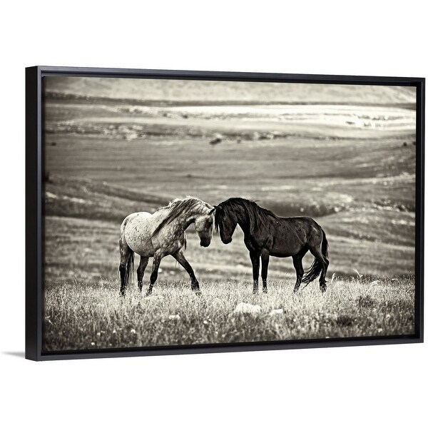 "Close encounter" Black Float Frame Canvas Art