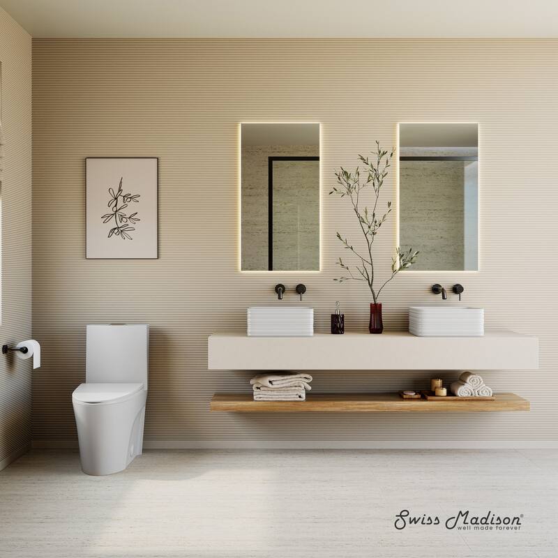 St. Tropez One-Piece 14" Rough-In 1.1/1.6 Gpf Dual Top Vortex Flush Elongated Toilet In Matte White