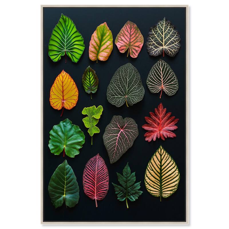 Leaf Lexicon Canvas by Art Remedy - Silver - 30" x 45"