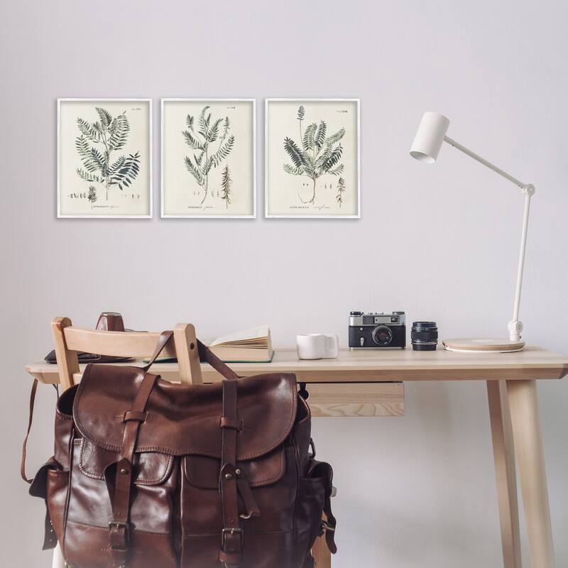 Stupell Green Botanical Latin Study Vintage Herb Motif Diagram Framed Wall Art - Beige