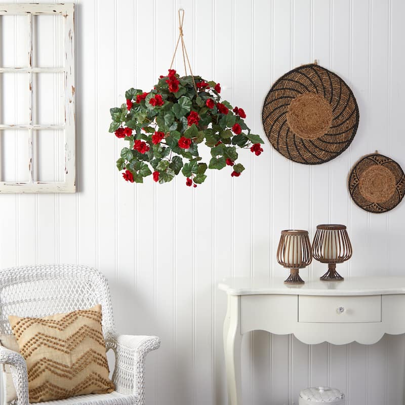Begonia Hanging Basket - Red