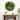 Virgin Islands Gold Framed Artificial Living Wall Panel - 38"