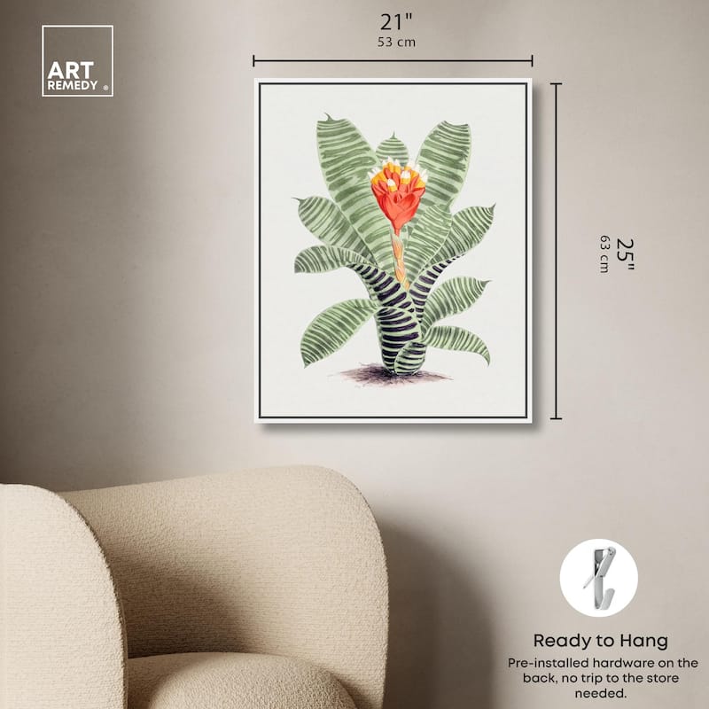 Tillandsia Musaica Plant Canvas by Art Remedy