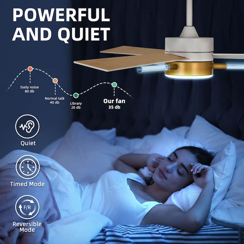 Modern 60 inch Ceiling Fan with Light and Remote Control