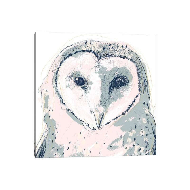 iCanvas "Funky Owl Portrait I" by June Erica Vess Canvas Print