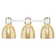 Option Polished Nickel
