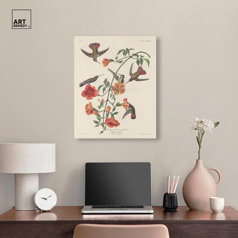 Humming Bird 1834 Canvas by Art Remedy, Gallery Wrapped