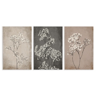 Stupell Botanical Baby's Breath Herbs 3 Piece Wall Plaque Art Set Design by Ros Ruseva