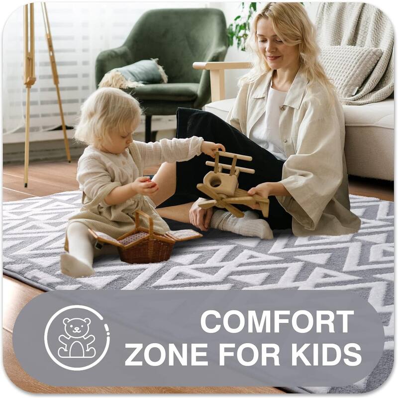 Ultra Soft Bedroom Carpet, Grey 4 x 6 Feet, Area Rugs for Living Room