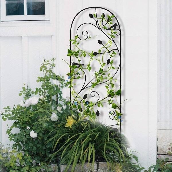 Garden Trellis for Climbing Plants Iron Wire Lattices Grid Trellises - Bed  Bath & Beyond - 40493030