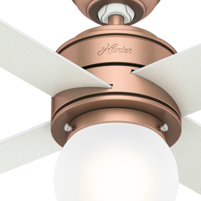 Hunter 52" Hepburn Ceiling Fan with LED Light Kit and Wall Control - Vintage, Mid-Century Modern, Transitional