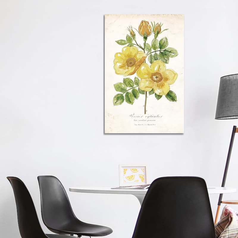 iCanvas "Botanical IV" by Nan Canvas Print - 40x26x1.5