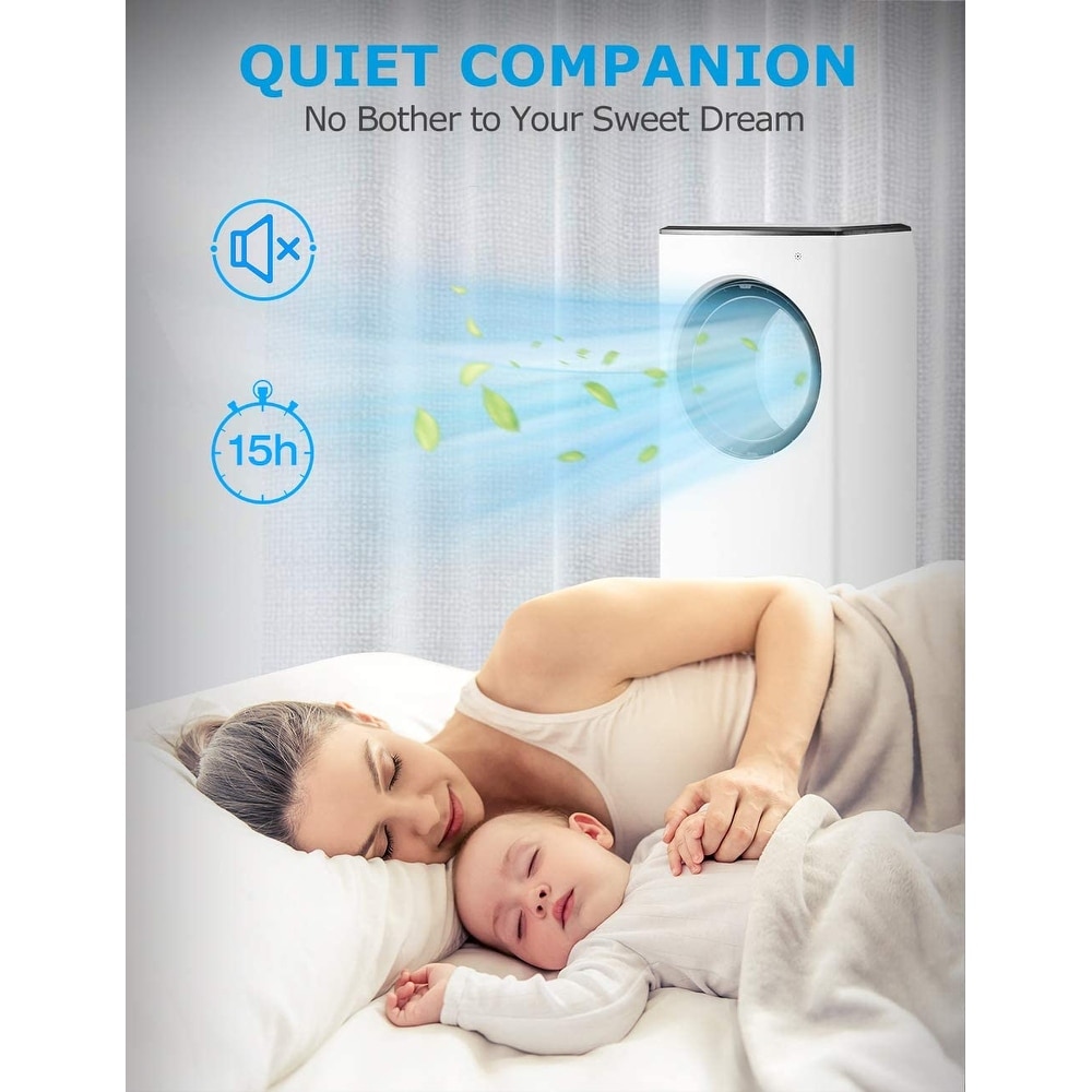 companion air cooler