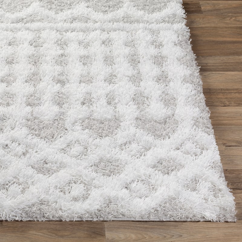 Livabliss Newton Geometric Moroccan Trellis Shag Area Rug