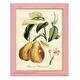 preview thumbnail 72 of 138, Printed Tuscan Fruits IV -Framed Print w/glass-Cherry Red 9x11 - Pink