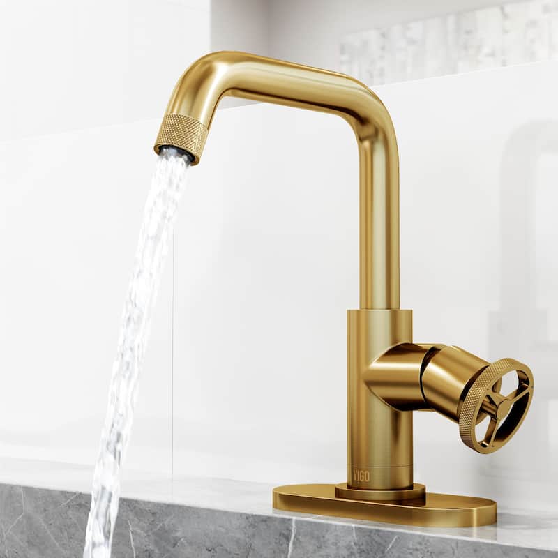VIGO Cass 9" H Single Handle Single Hole Bathroom Faucet
