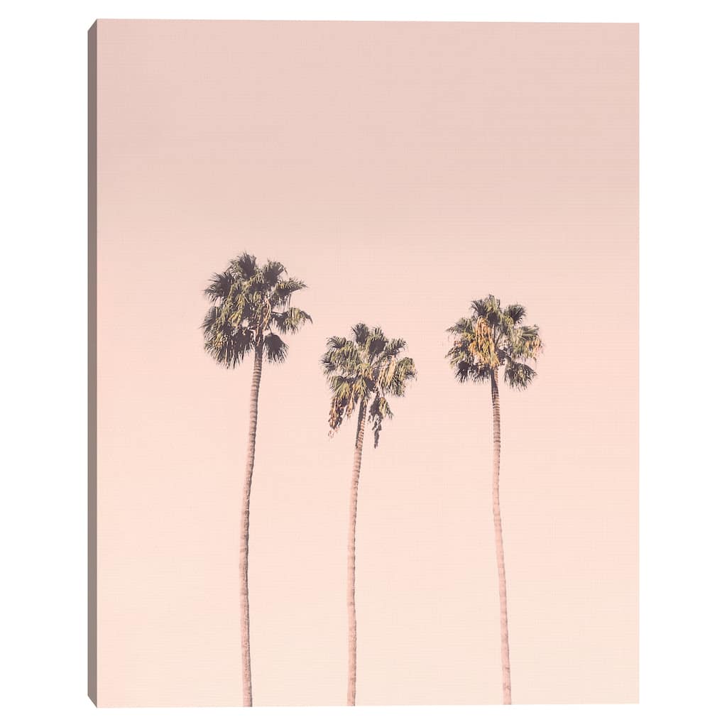 Sunset Palms by Sisi and Seb Canvas Art Print