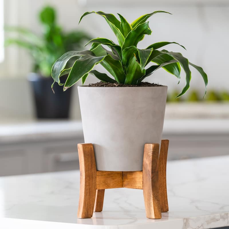 Southern Patio Contemporary Planter with Stand