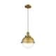 Option Clear / Brushed Brass