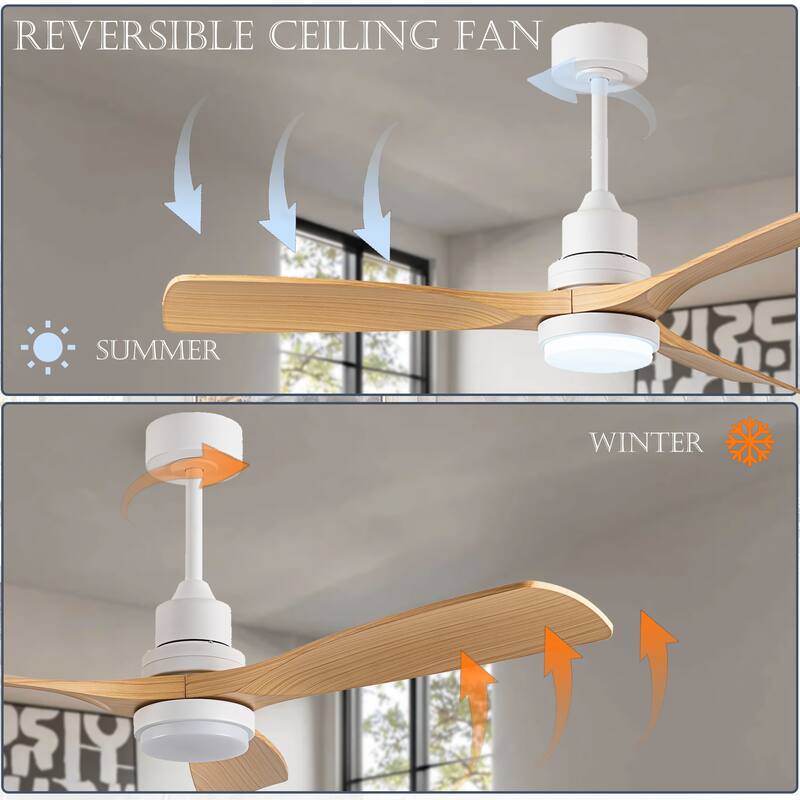 Morden LED Ceiling Fan with Light and Remote