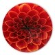 preview thumbnail 9 of 8, Designart 'Close Up Orange Flower Petals' Oversized Floral Wall CLock