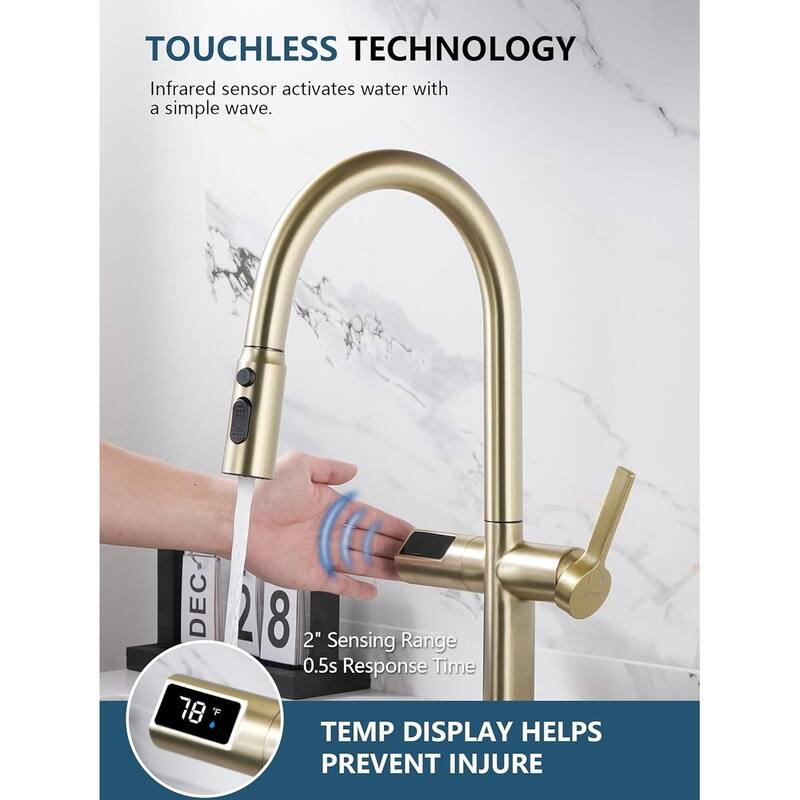 Lefton Touchless Pull-Out Kitchen Faucet, Hands Free Motion Sensor Activated, Battery-Free Temperature Display, KF2206