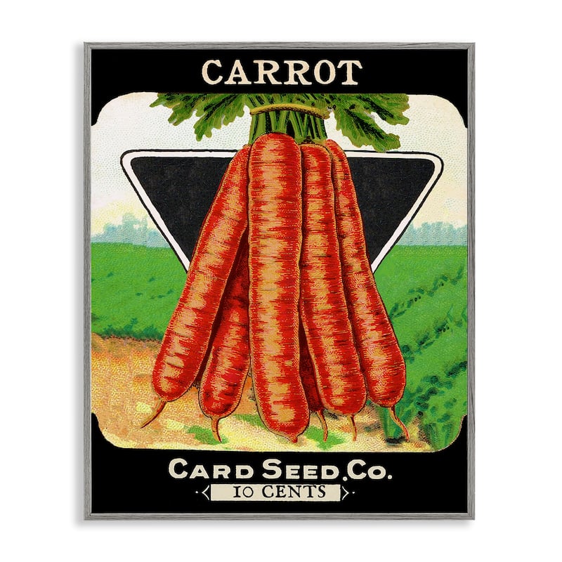 Stupell Vintage Gardening Carrots Framed Giclee Art Design By Lil' Rue - 16 x 20 - Grey