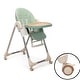 preview thumbnail 16 of 18, Baby Toddler Adjustable Highchair with Feeding Tray and Safety Buckle