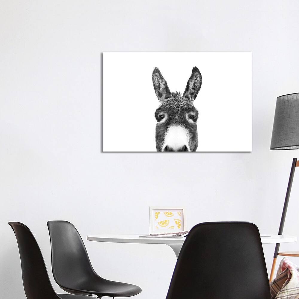 iCanvas "Peeking Donkey In Black & White" by Sisi & Seb Canvas Print
