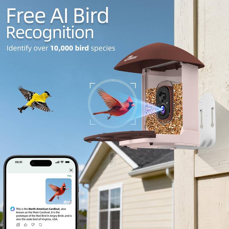Smart Solar Bird Feeder with Camera and Interactive App