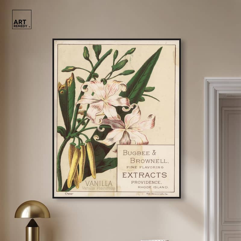 Vanilla Planifolia Canvas by Art Remedy