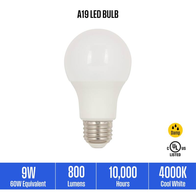Westinghouse Lighting 9 Watt (60 Watt Equivalent) A19 Cool White LED Light Bulb, Medium Base, 6 Pack - 6-Pack