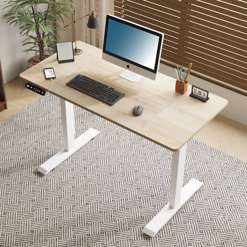 Rossetta 55" Electric Height Adjustable Standing Desk with Double Beam Single Motor