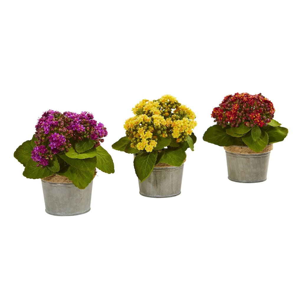 Set of 3 Artificial Kalanchoe Arrangements in Decorative Pot 9" - Multi