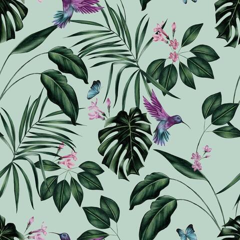 Clivia Mint Hummingbird Wallpaper