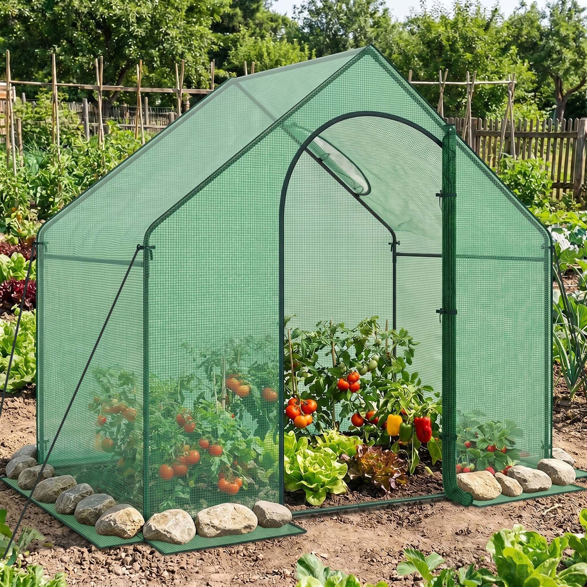 6x3x5.5 FT Mini Walk-in Greenhouse Portable Outdoor Winter Warm