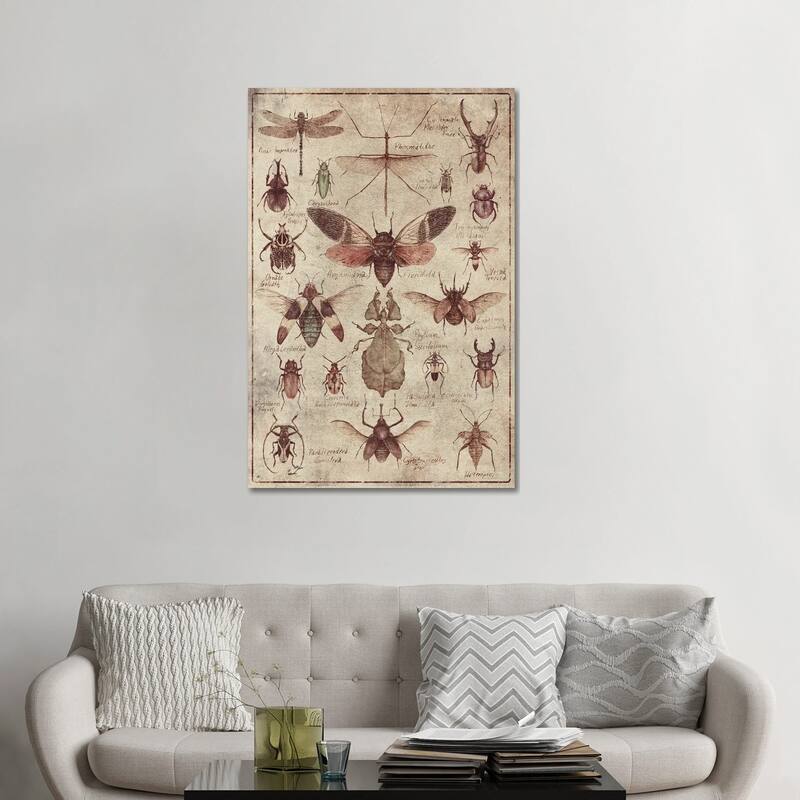 iCanvas "Vintage Insects" by Mike Koubou Canvas Print - 48x32x1.5
