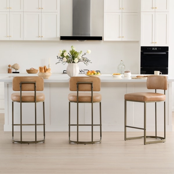 Spruce & Spring Arthur 26 inch Counter Height Bar Stool Set with
