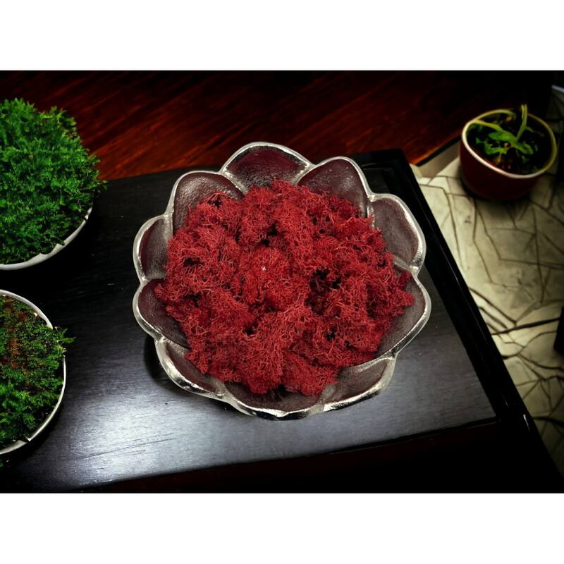 Preserved Reindeer Moss in Multiple Colors