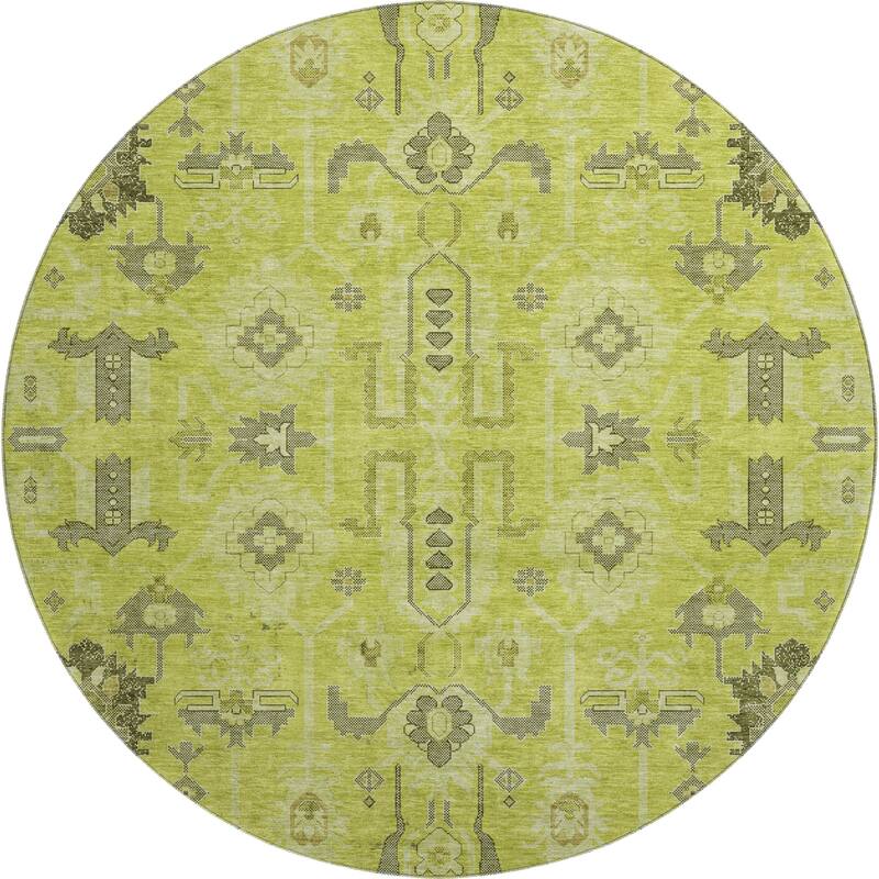 Premium Washable Super Soft Traditional Global Mayfield Rug