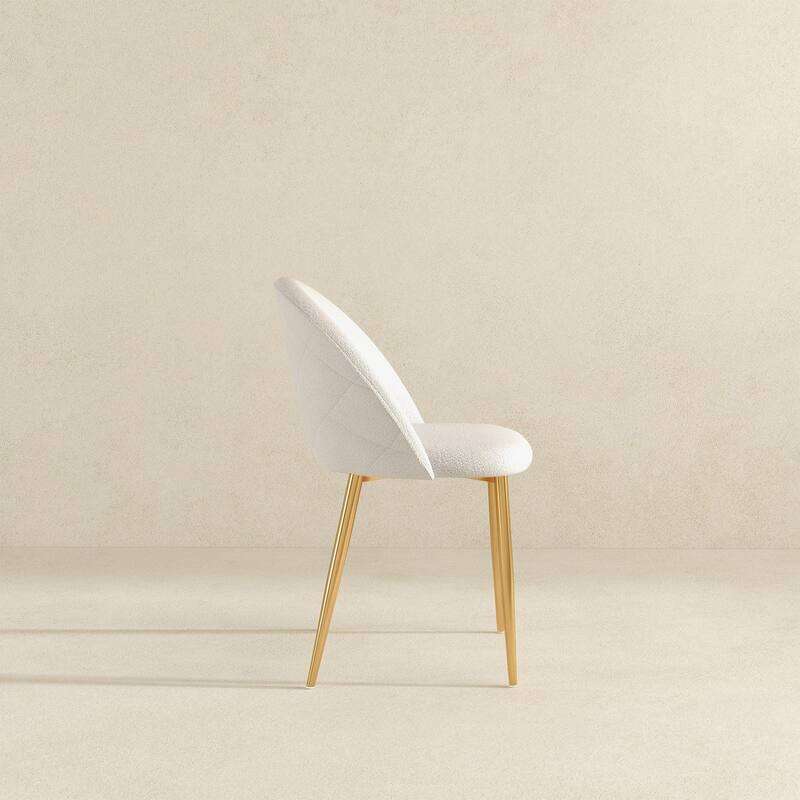 Modern Dining Chair (Set Of 2)