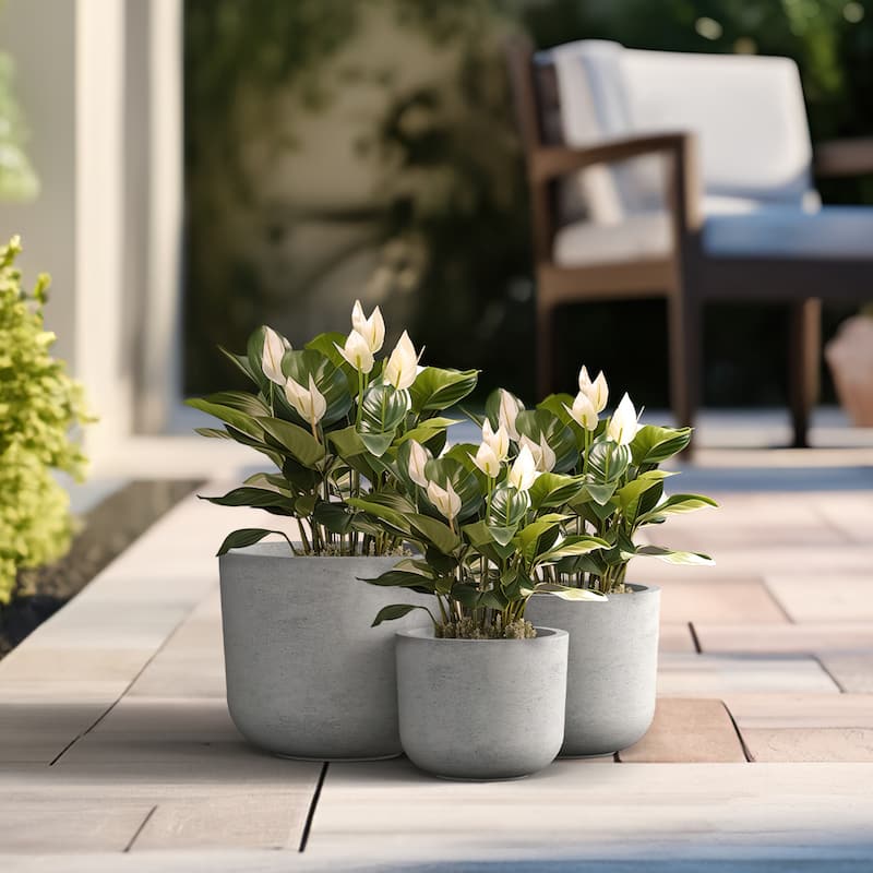 Tall Concrete Round Plant Pots / Large Indoor and Outdoor flower Planters