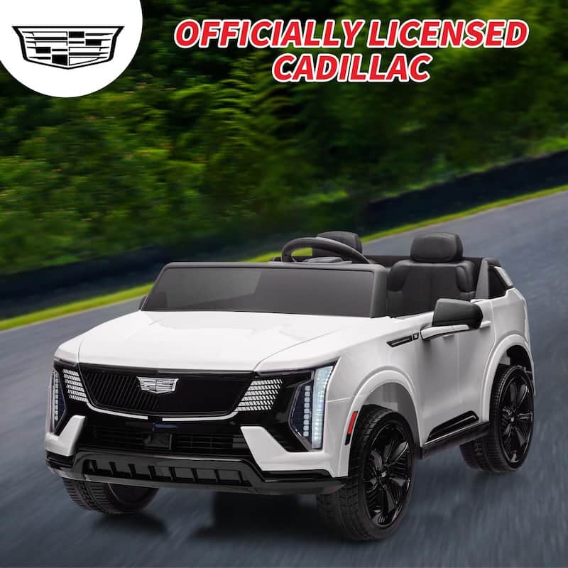 2 Seater Ride on Car for Kids 24V Electric Car Toy