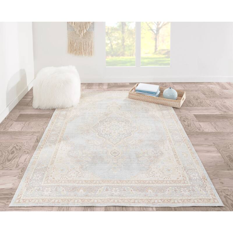 Momeni Isabella Polyester Traditional Medallion Area Rug. - On Sale ...