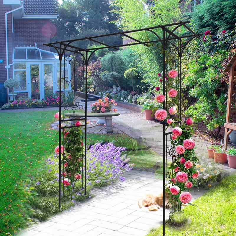 Metal Garden Arch L80.3'' x W20.47'' x H81.1'' Climbing Plants Support Rose Arch Outdoor