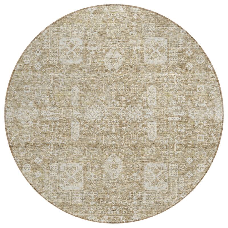 HomeRoots Oriental Transitional Rectangle Outdoor Rug