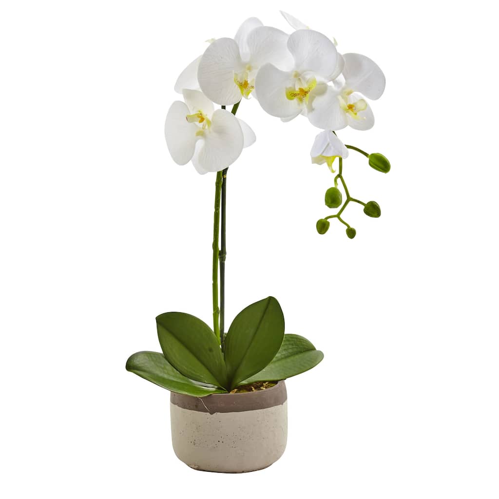 19" Phalaenopsis Orchid Artificial Floral Arrangement in Ceramic Pot