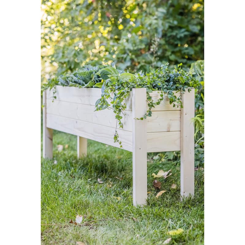Zylina Raised Garden Planter Collection - Extra Long - 60 x 12 x 22