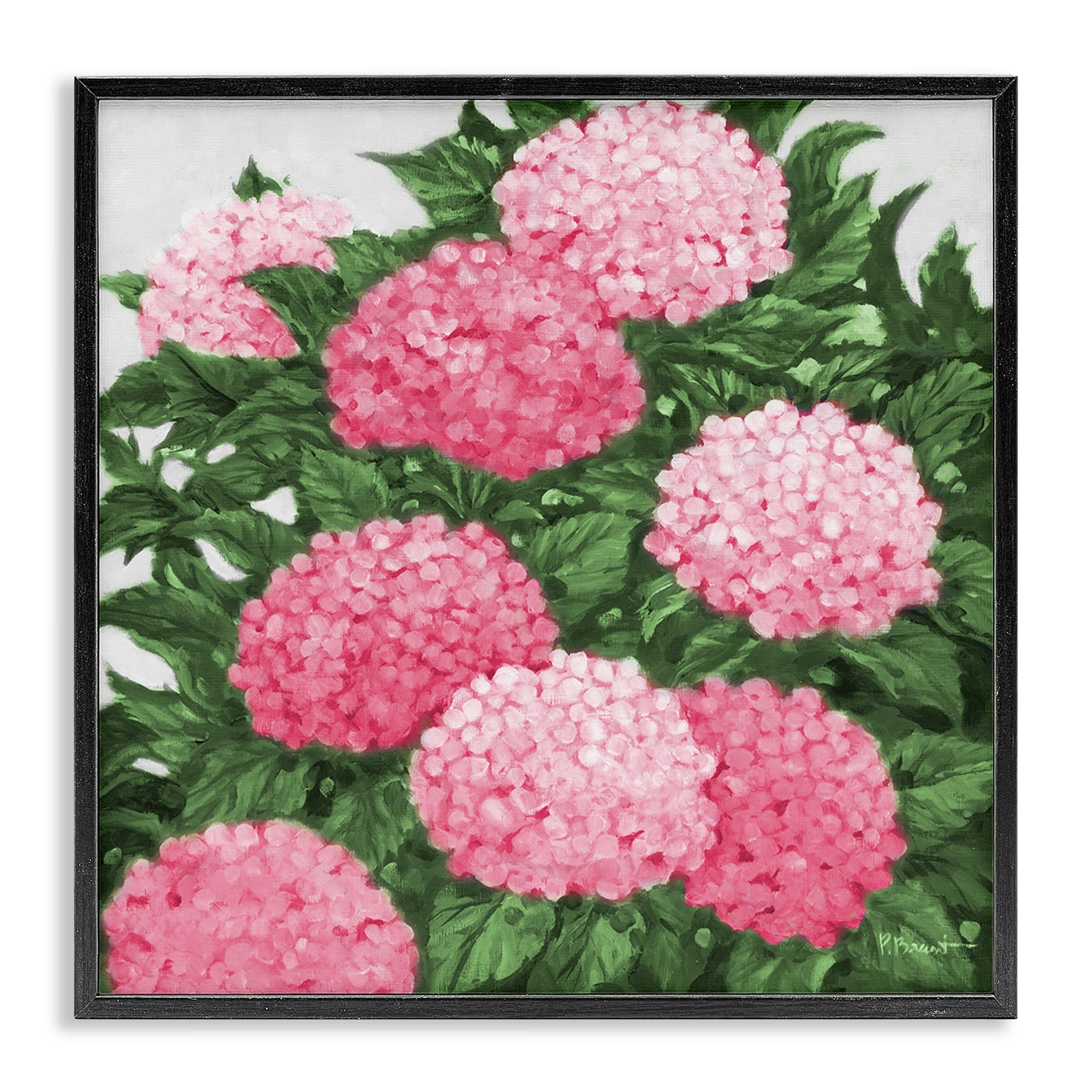 Stupell Pink Hydrangea Impressions Framed Giclee Art Design By Paul Brent