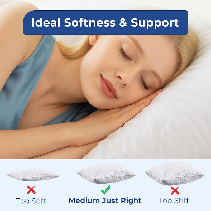 2 Pack Hotel Quality Goose Feather Bed Pillows for Side & Back Sleepers